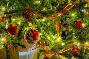 close up of ribbon on christmas tree