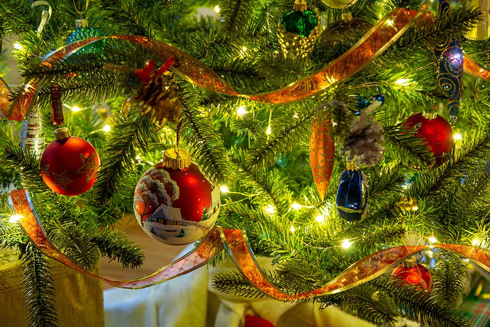 Close Up of Ribbon on Christmas Tree