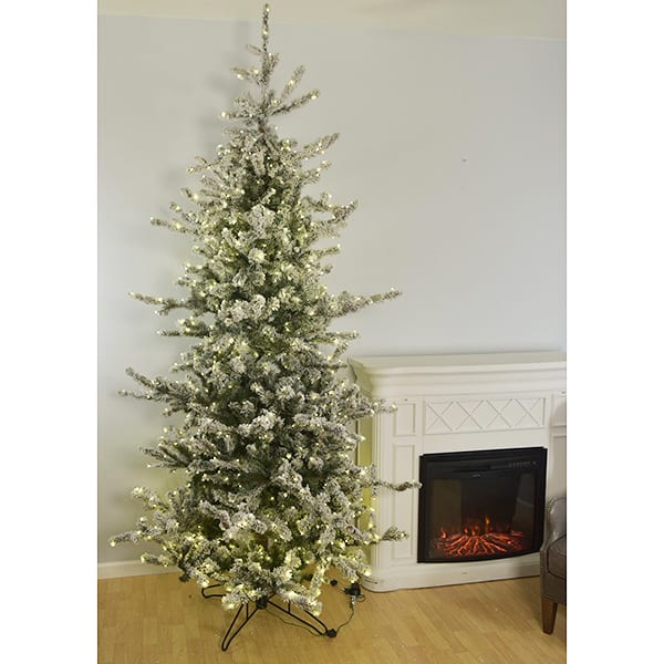 Rocky Mountain Snowy Spruce by St Nicks™️ Tree only