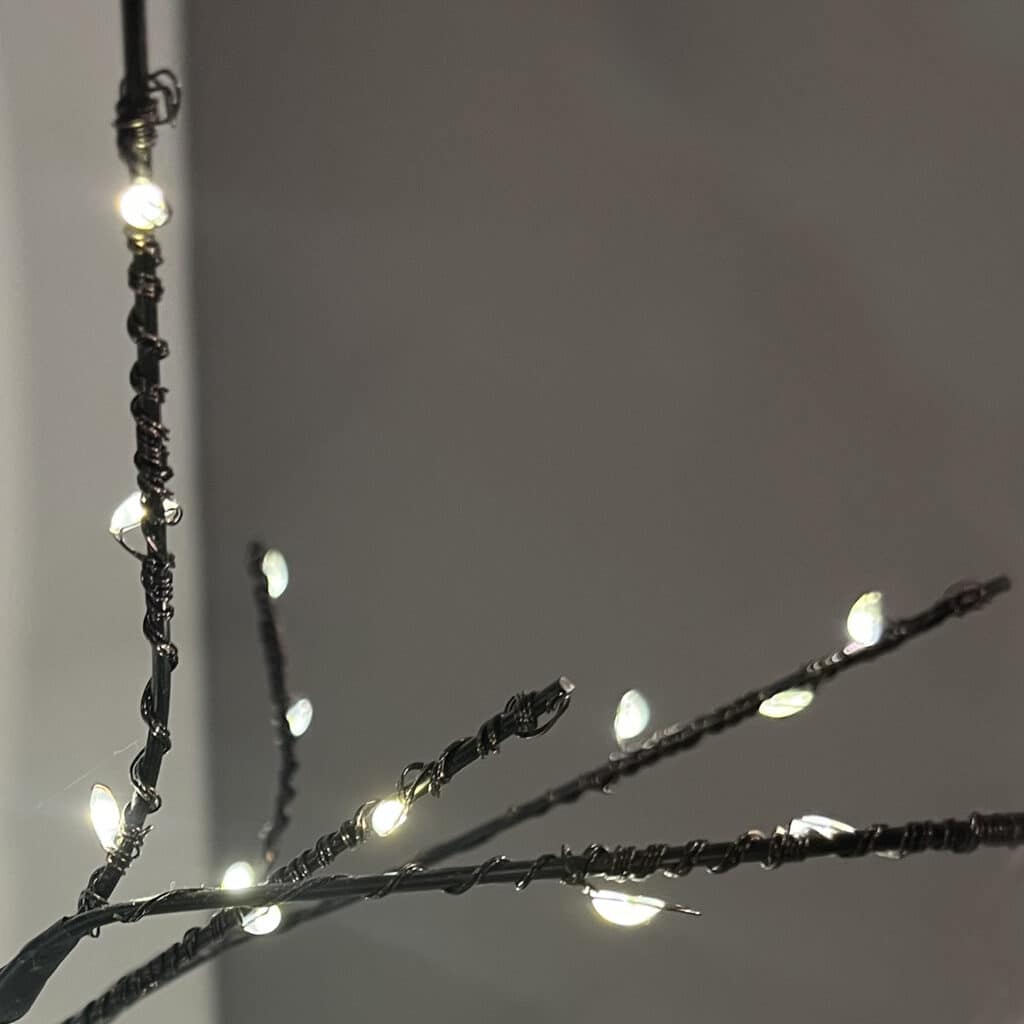 Black Halloween Tree Lit Close Up