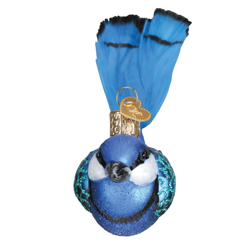 Old World Christmas Blown Glass Fairy Wren Ornament