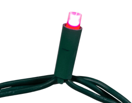 Frosted Wide Angle Led 50 Lights