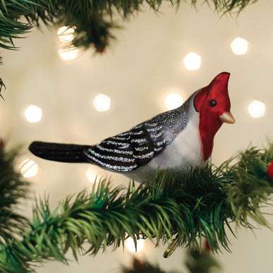 Red crested Cardinal Ornament Old World Christmas