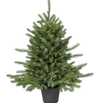 Telluride Fir Table Top Tree