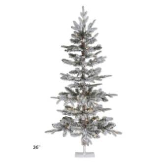 Frosted Forest Pine Tree Anniversary Special