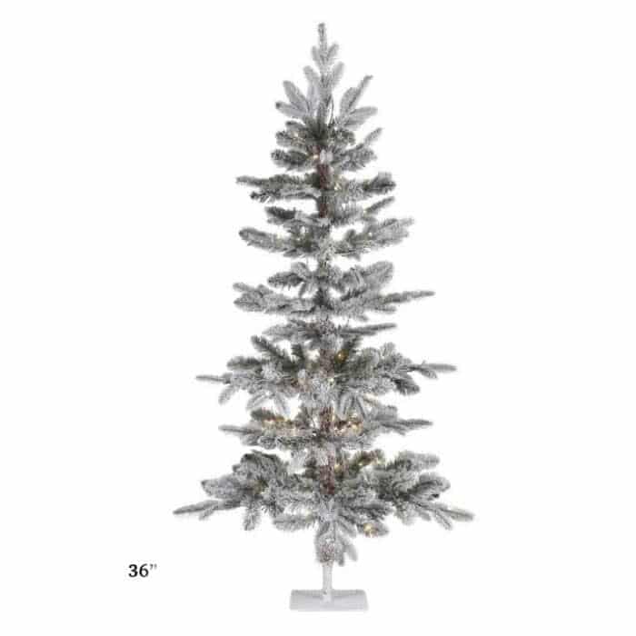 Frosted Forest Pine Tree Anniversary Special