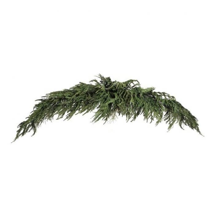  natural Touch Luxury Cyprus Norfolk Pine Swag Garland 72 gigapixel