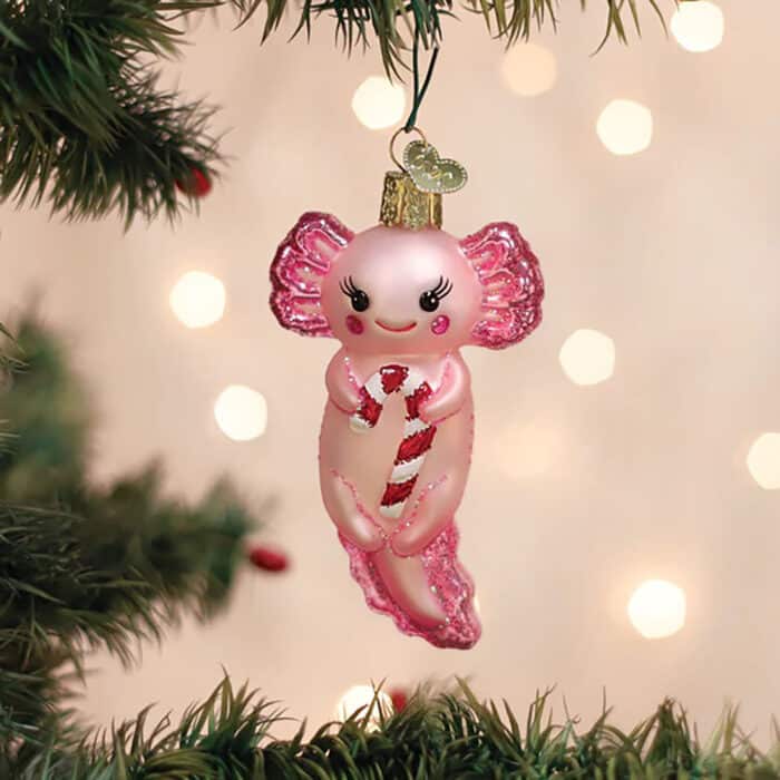 Axolotl with Candy Cane Ornament Old World Christmas