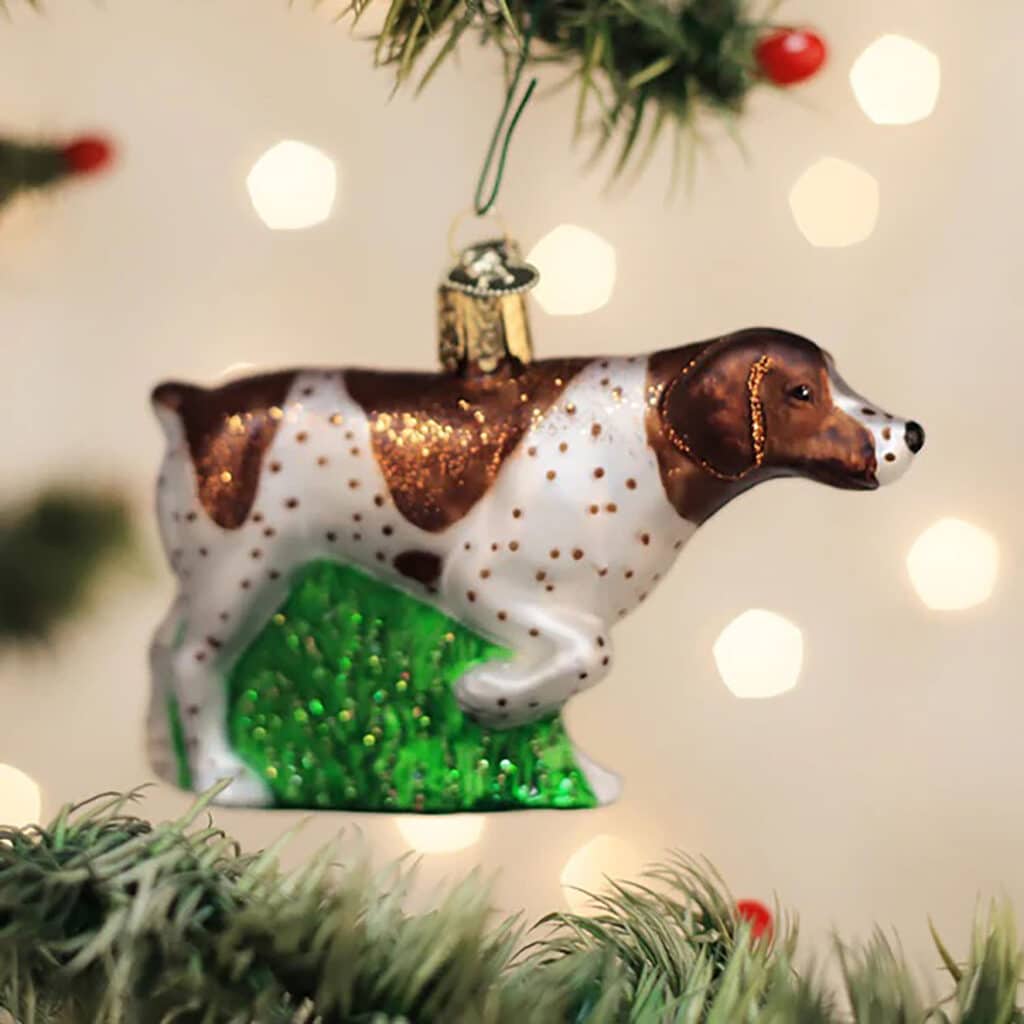 German Shorthaired Pointer Ornament Old World Christmas