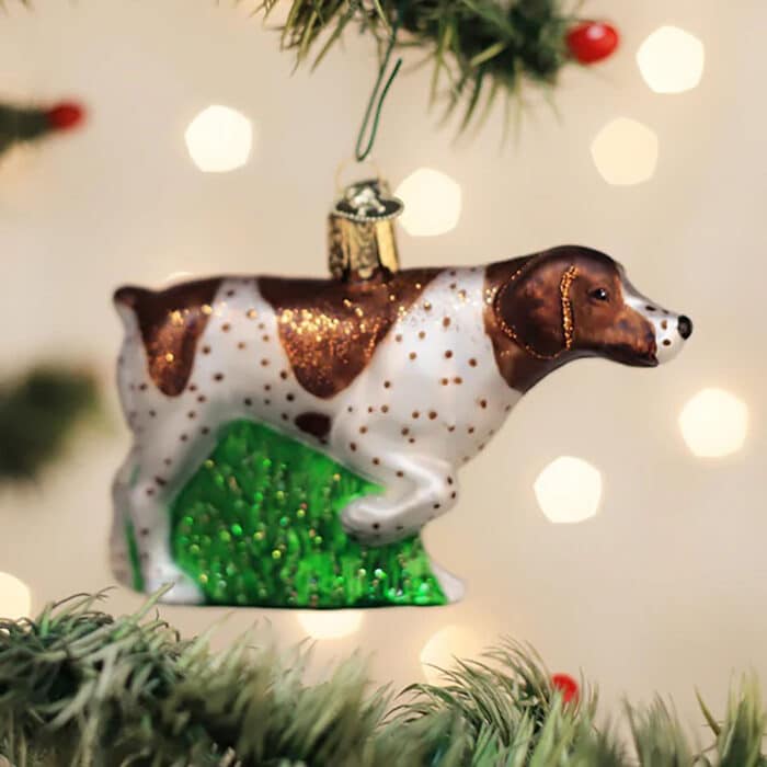German Shorthaired Pointer Ornament Old World Christmas