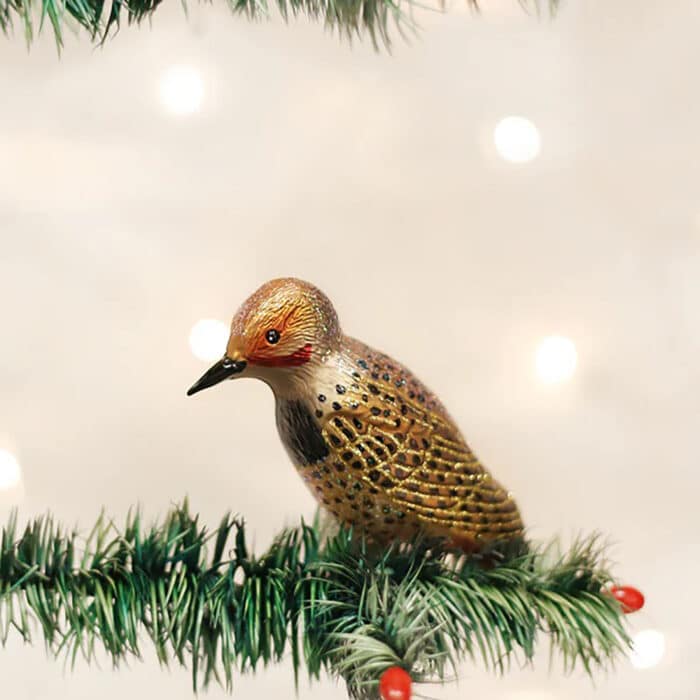 Northern Flicker Ornament Old World Christmas