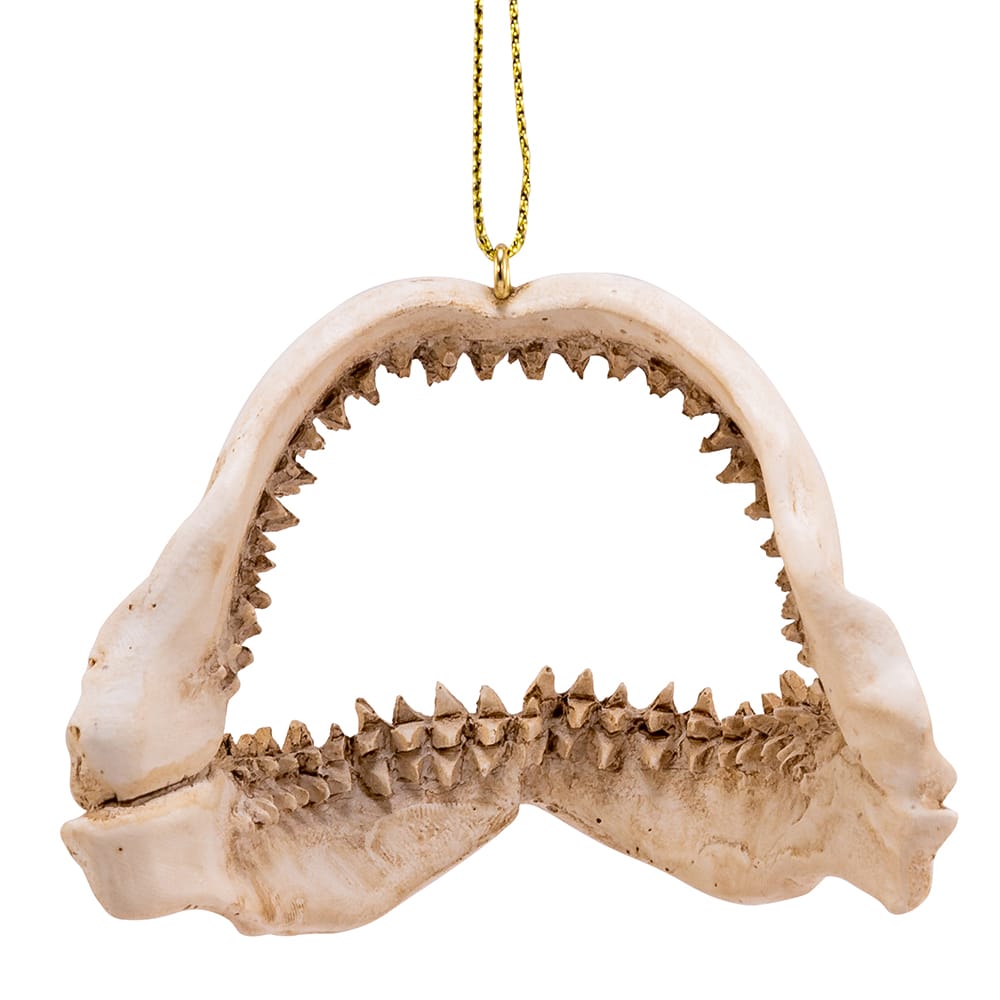 Shark Jaw and Teeth Ornament Back