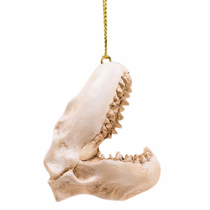 Shark Jaw and Teeth Ornament Side