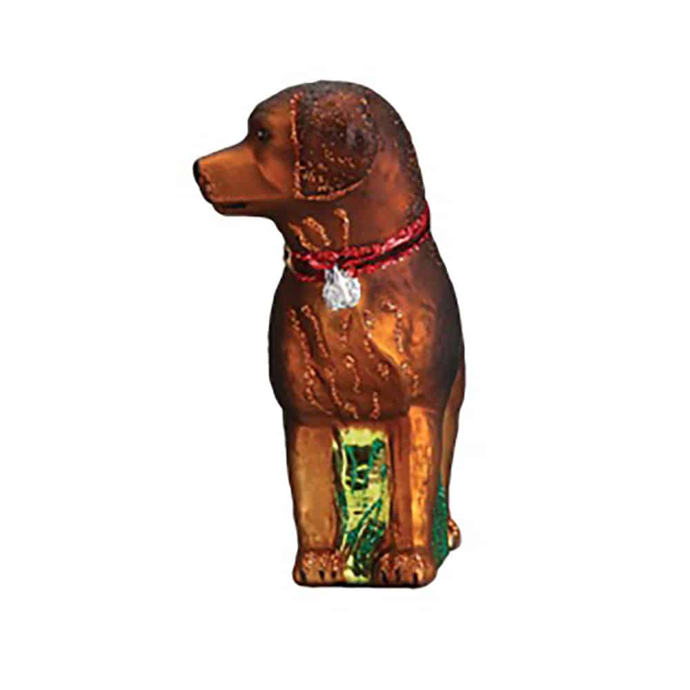 Standing Chocolate Lab Ornament Old World Christmas Front