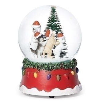 Musical Dog Dance Water Dome