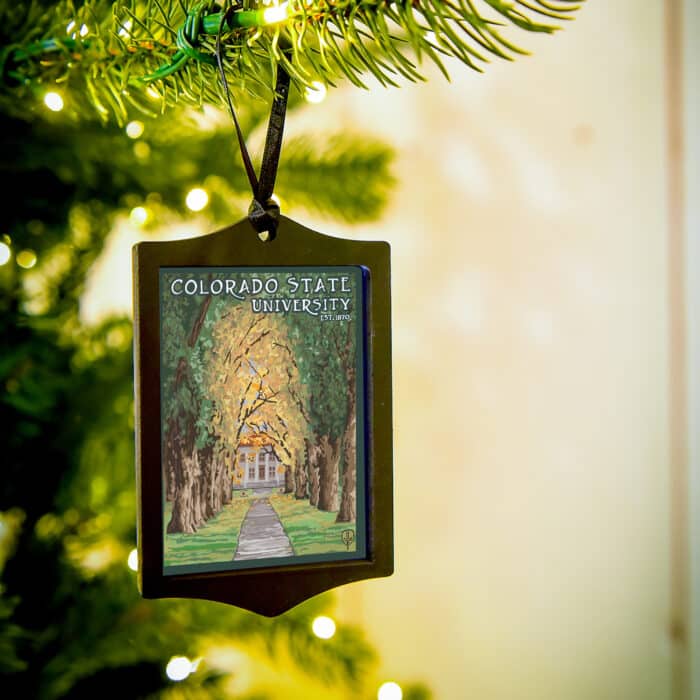 Colorado University or College Ornaments by Julie Leidel Csu