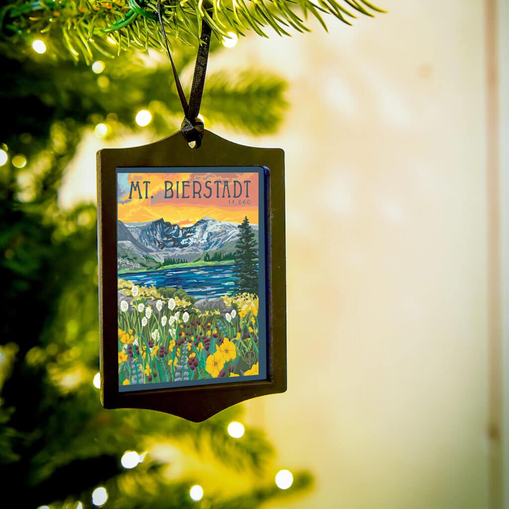 Mt Bierstadt Colorado Ornament by Julie Leidel