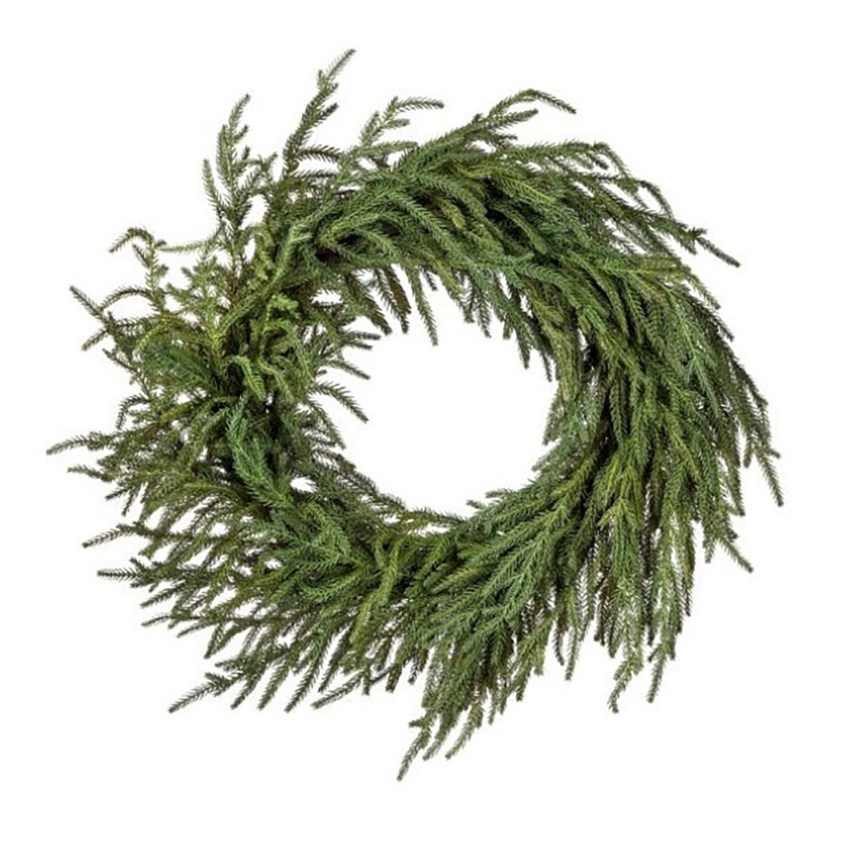  just Cut Norfolk Pine Wreath 24