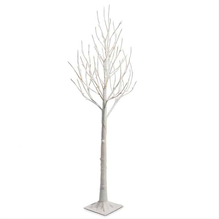 White Iced Twig Tree
