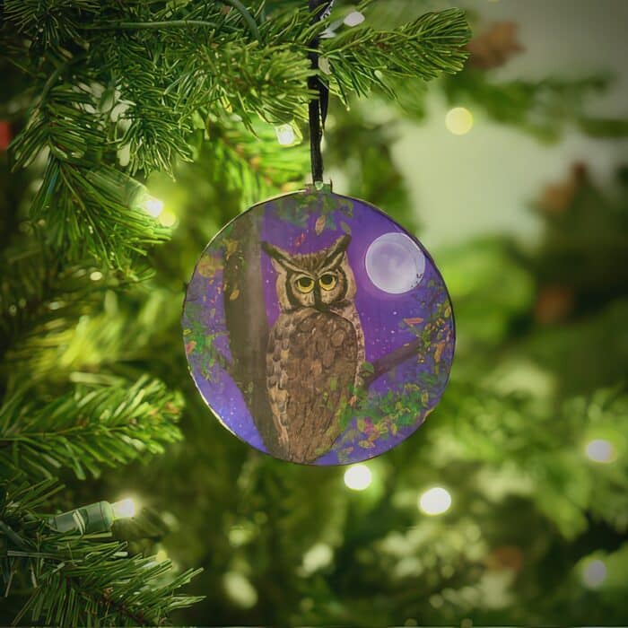 Night Owl Ornament by Cindy Dewolfe