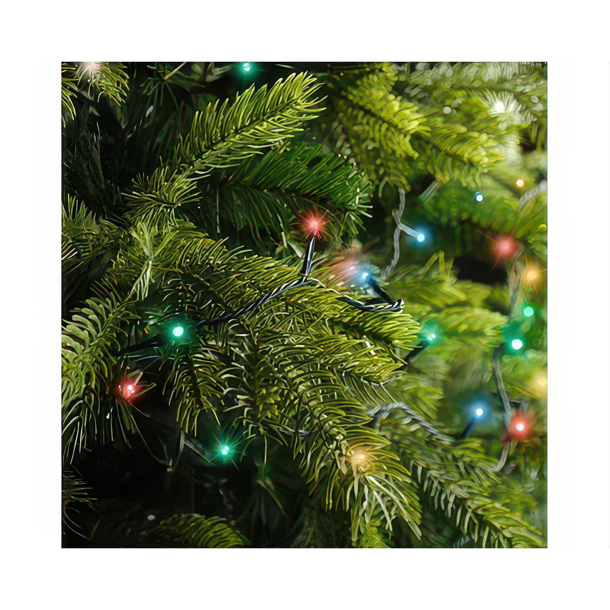 Sparkle Effect Multi Color Light Set Tree