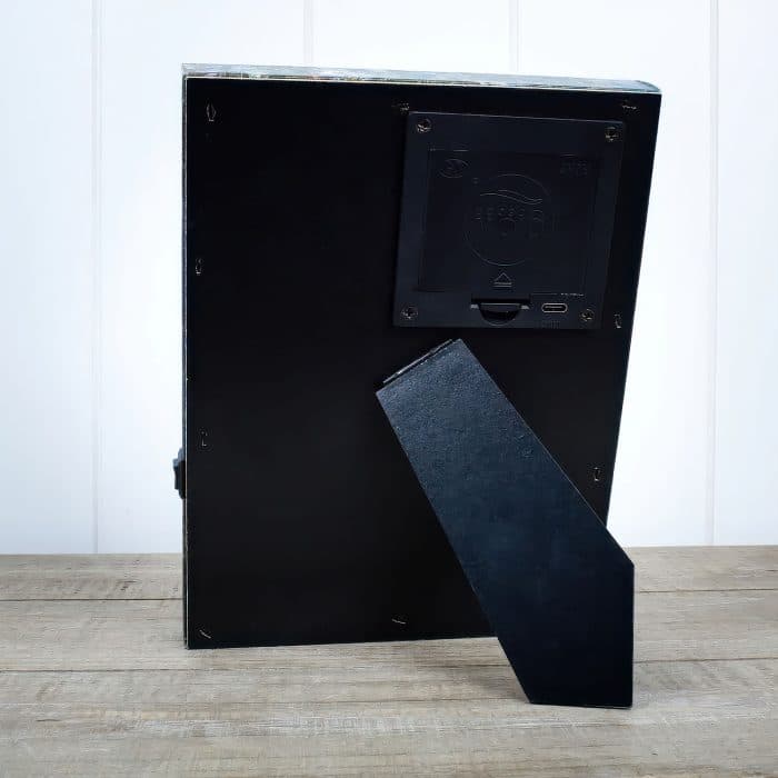 Canvas Back