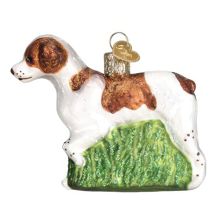 Brittany Spaniel Ornament Old World Christmas Front