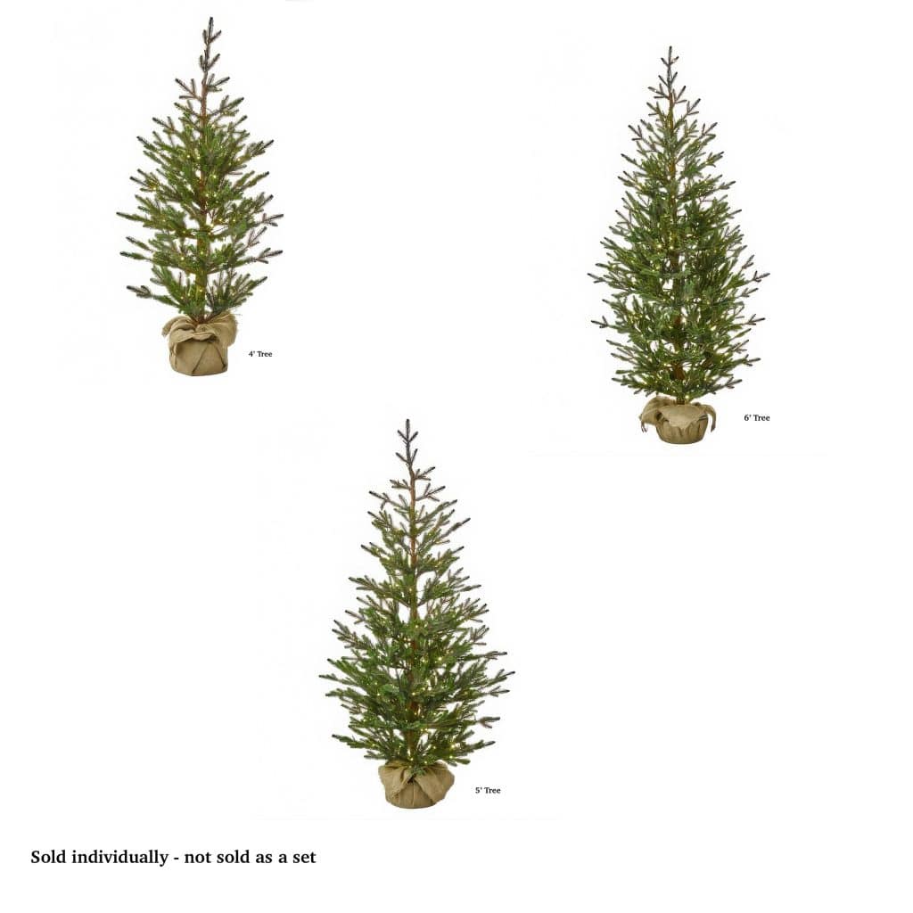 Sapling Spruce Tree Color Change Christmas Tree