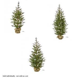 Sapling Spruce Tree Color Change Christmas Tree