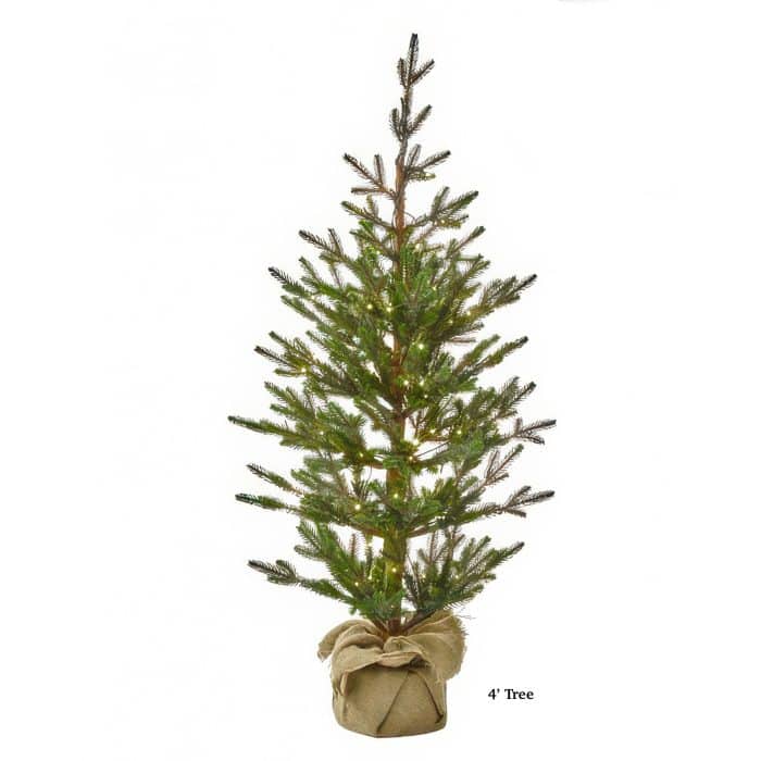Sapling Spruce Tree Color Change Christmas Tree Four Foot