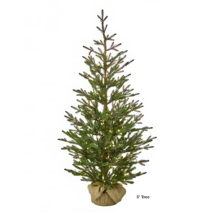 5 foot Christmas Tree in a Burlap wrapped Base Shown Upright