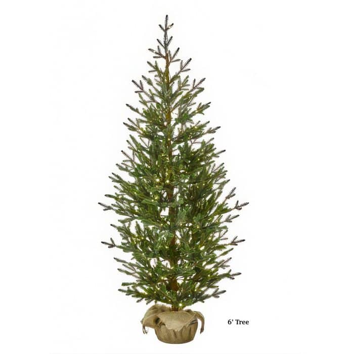 Sapling Spruce Tree Color Change Christmas Tree 6 Foot