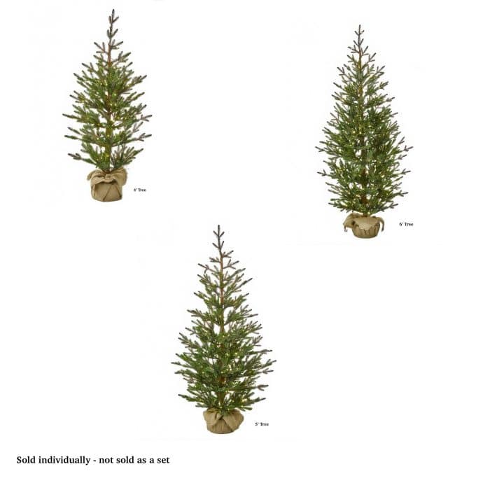 Sapling Spruce Tree Color Change Christmas Tree